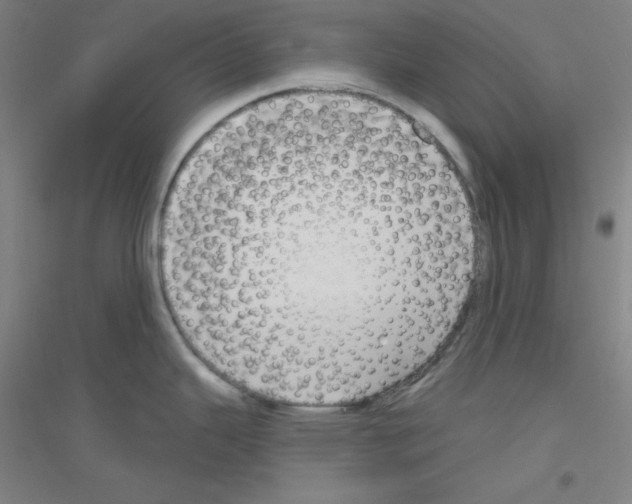 X0000116791343201001291511