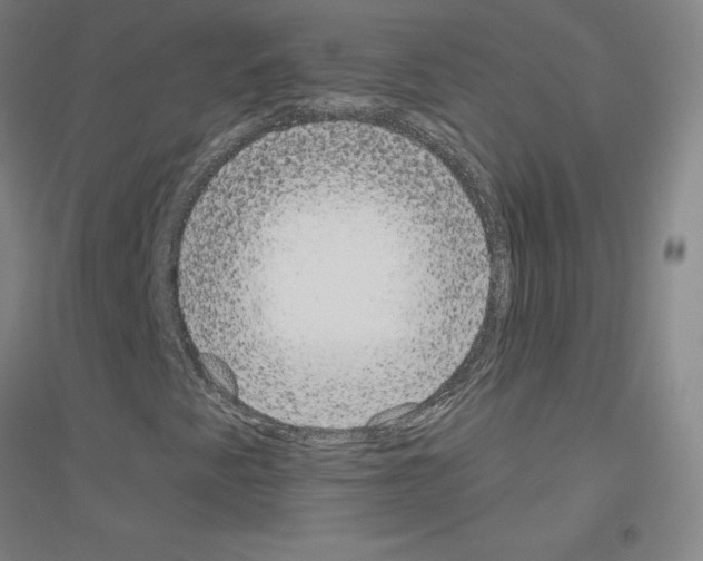 X0000116791345201001291510