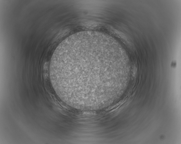X0000116791346201001291510