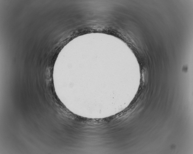 X0000116791347201001291510