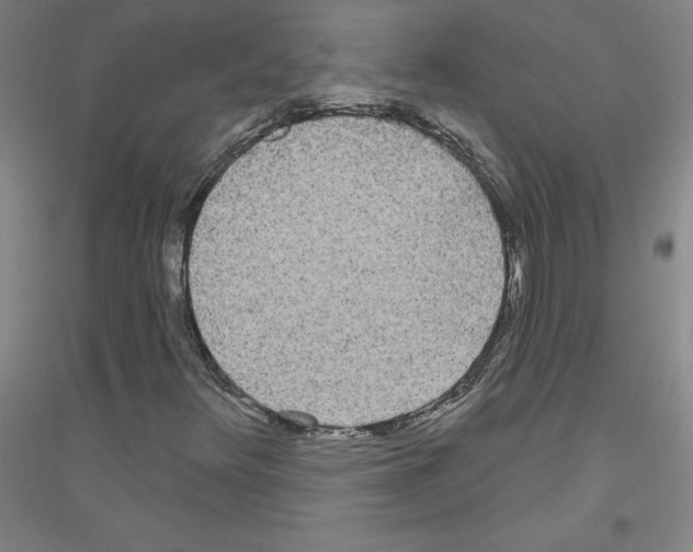 X0000116791348201001291510