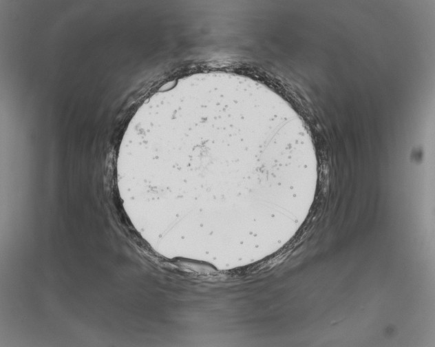 X0000116791349201001291510