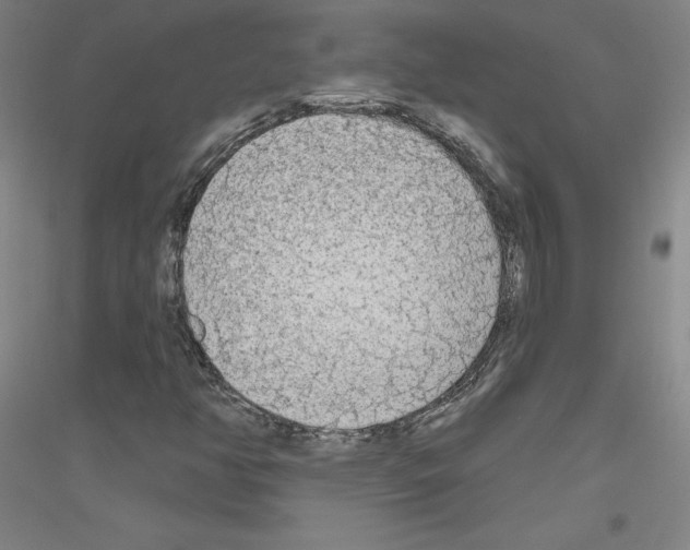 X0000116791350201001291510