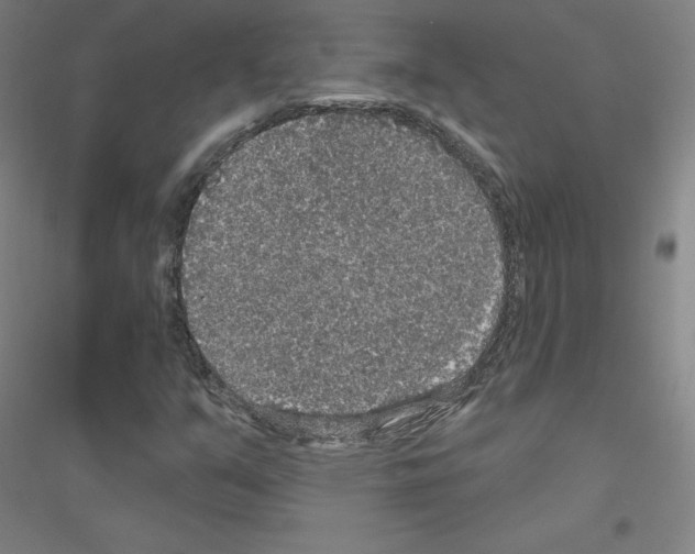 X0000116791351201001291510