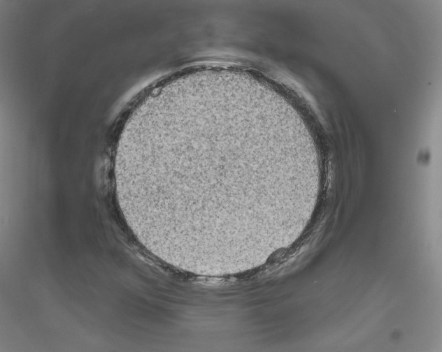 X0000116791352201001291510