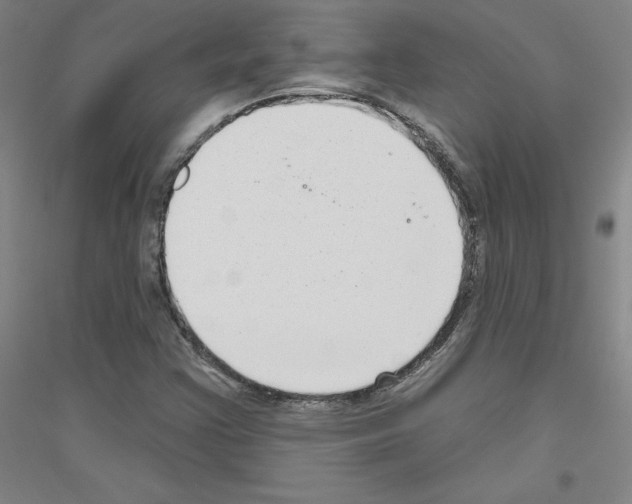 X0000116791355201001291510