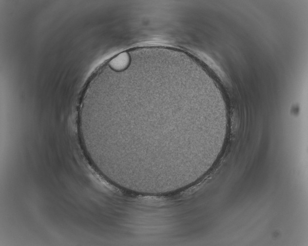 X0000116791356201001291510
