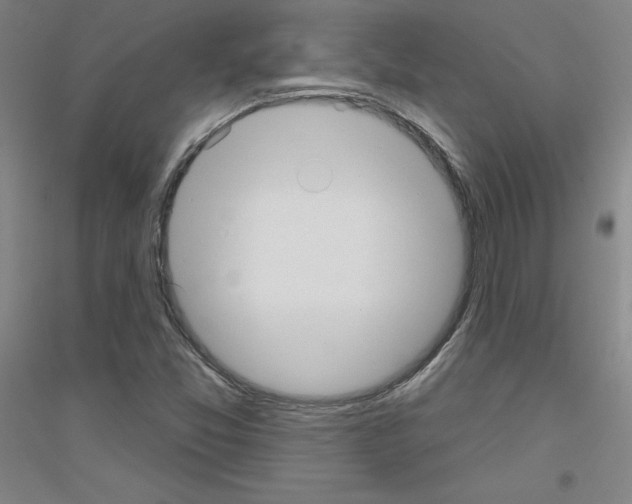 X0000116791357201001291510