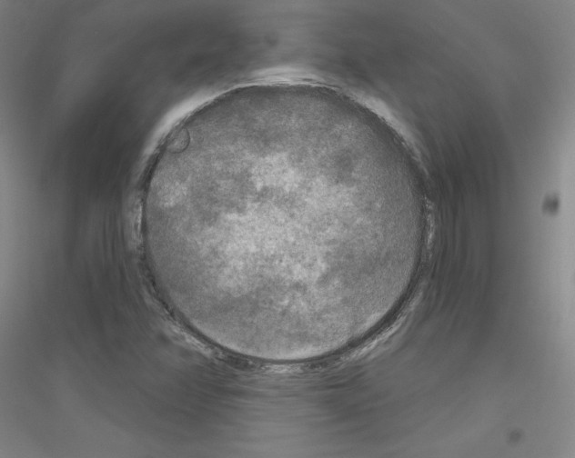 X0000116791358201001291510
