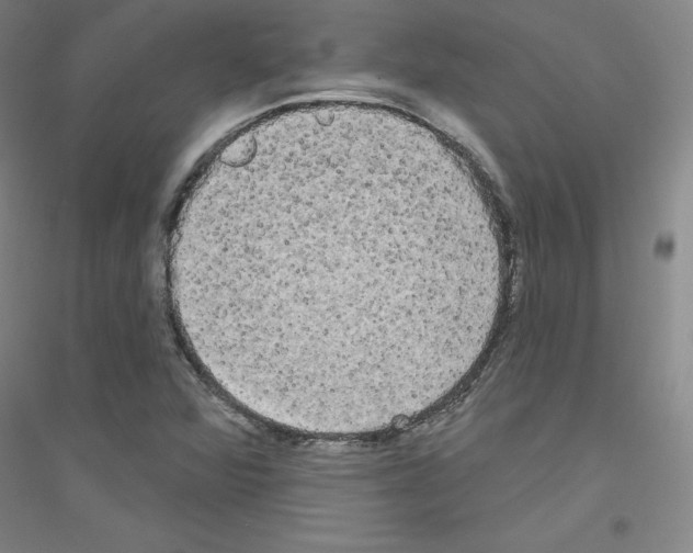 X0000116791360201001291510