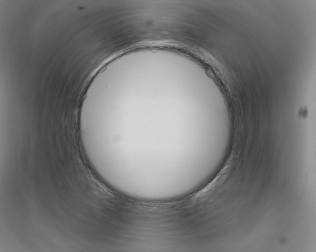 X0000116791361201001291510