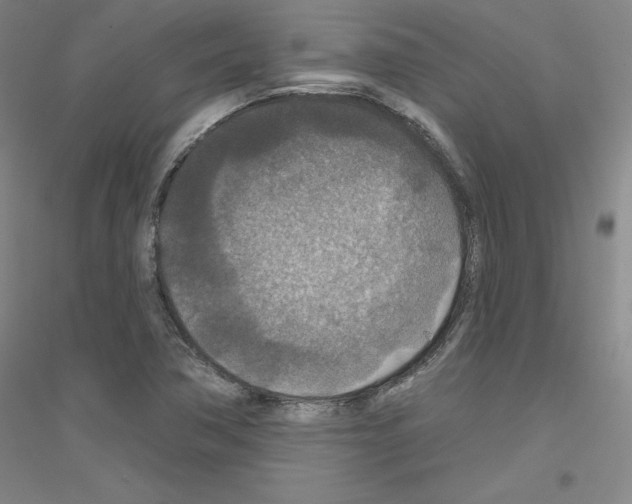 X0000116791362201001291510