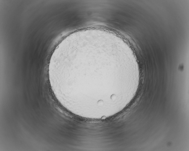 X0000116791363201001291510