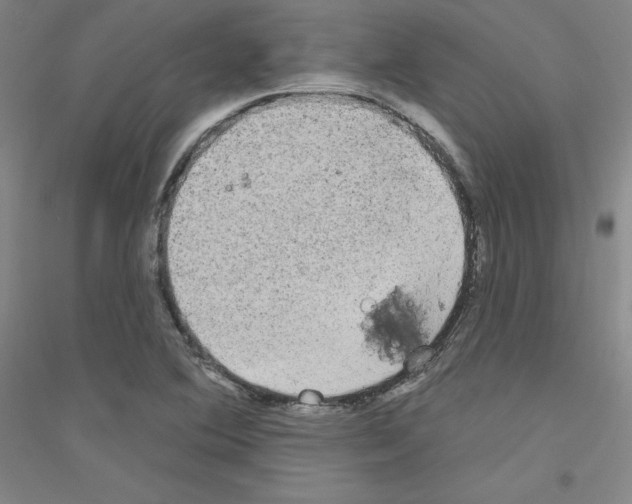 X0000116791364201001291510