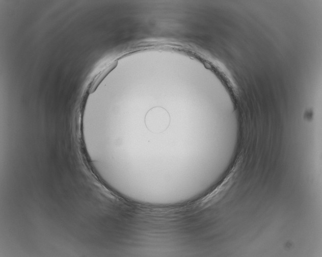 X0000116791365201001291510