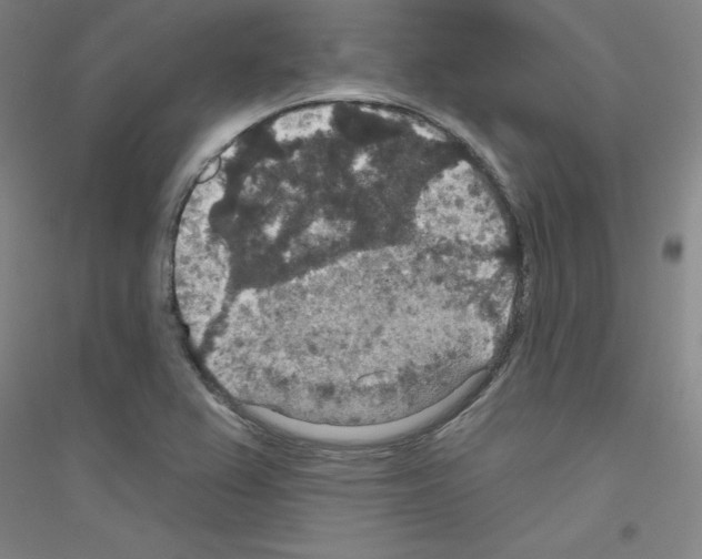 X0000116791367201001291510