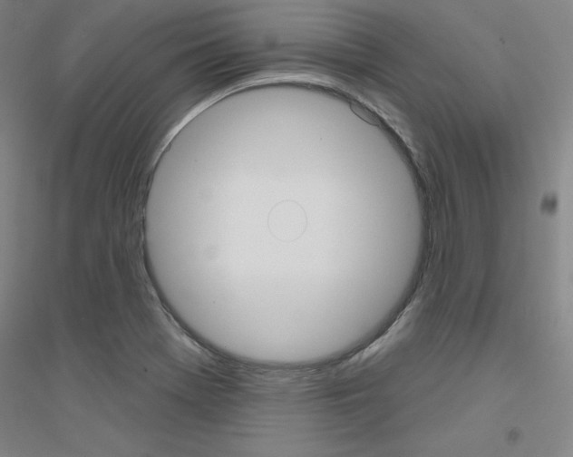 X0000116791369201001291510