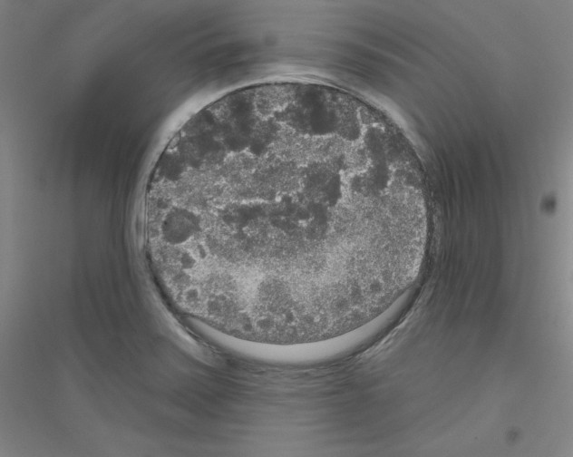 X0000116791371201001291510