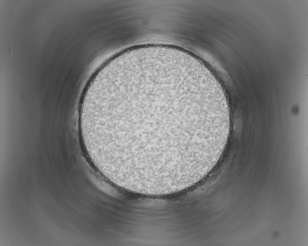 X0000116791372201001291510