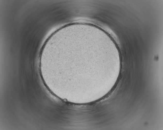 X0000116791376201001291510