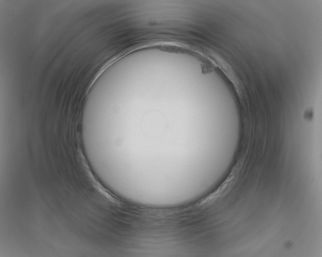 X0000116791377201001291510