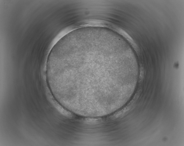 X0000116791378201001291510