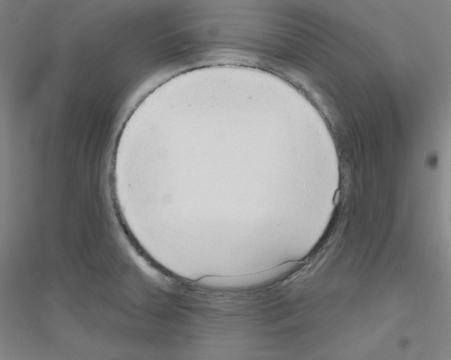 X0000116791379201001291510