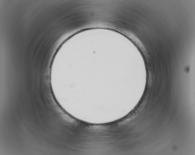 X0000116791380201001291510