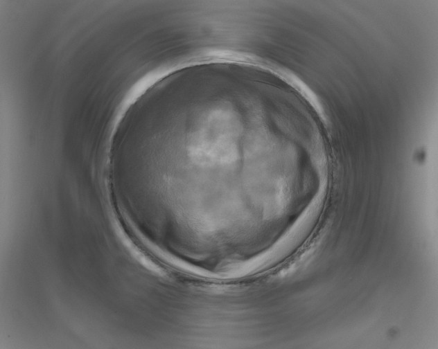X0000116791381201001291510