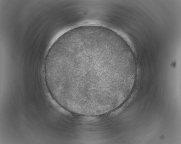 X0000116791382201001291510