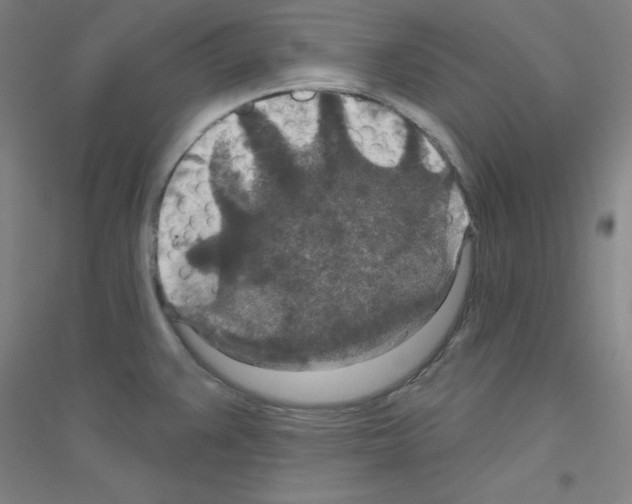 X0000116791383201001291510
