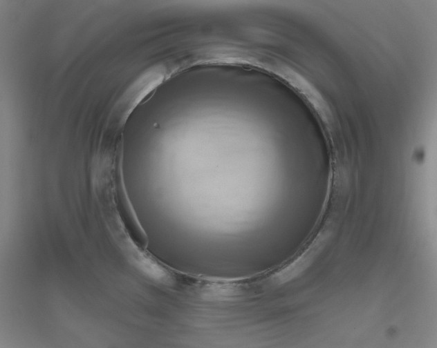 X0000116791385201001291509
