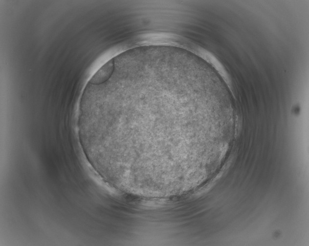 X0000116791386201001291509