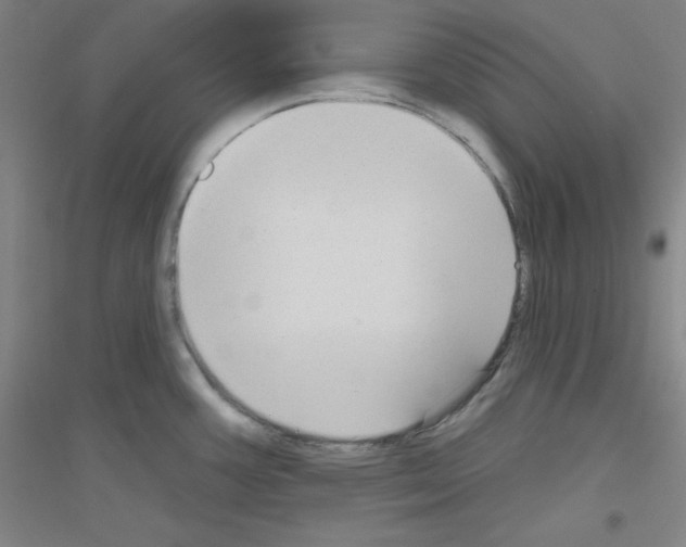 X0000116791387201001291509