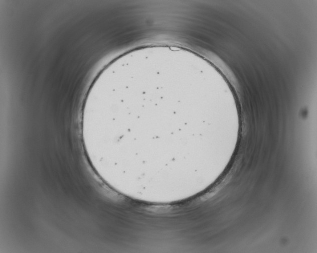 X0000116791388201001291509