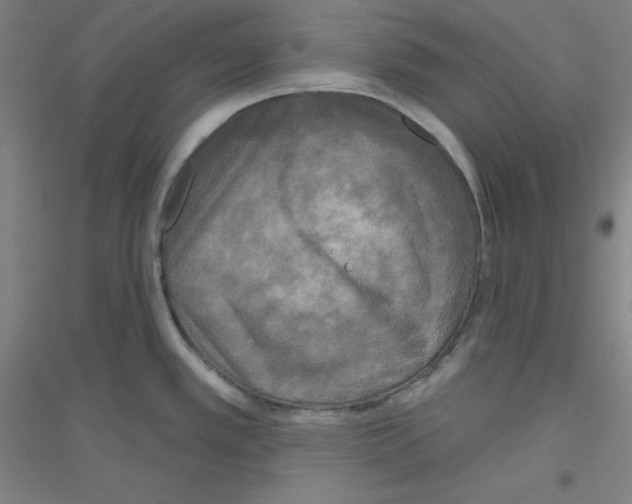 X0000116791389201001291509
