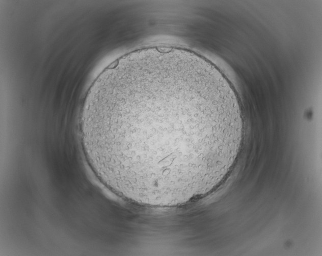 X0000116791390201001291509