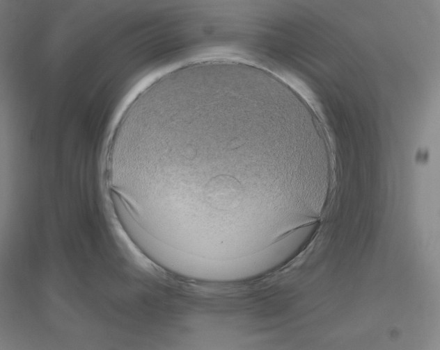 X0000116791392201001291509