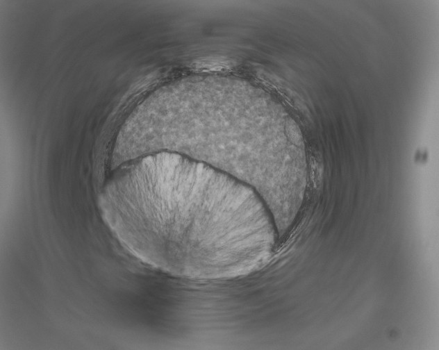 X0000116791393201001291509