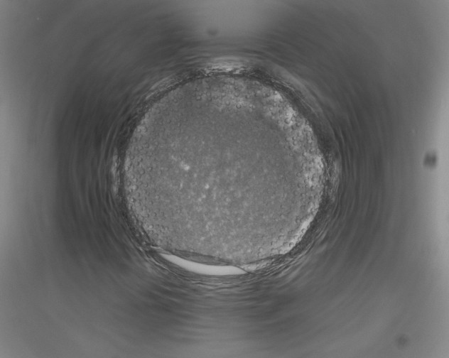 X0000116791394201001291509