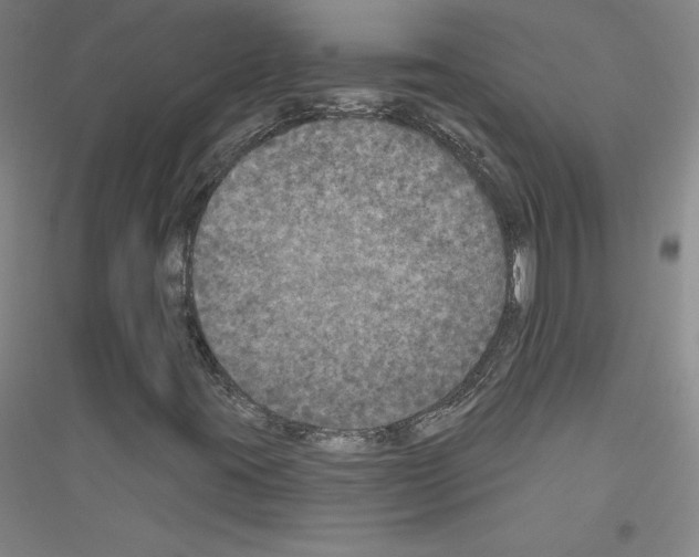 X0000116791395201001291509