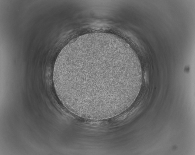 X0000116791396201001291509
