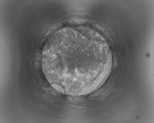 X0000116791397201001291509