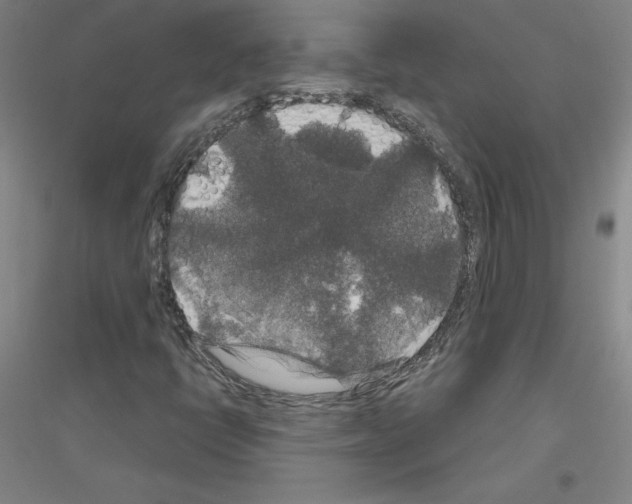 X0000116791398201001291509
