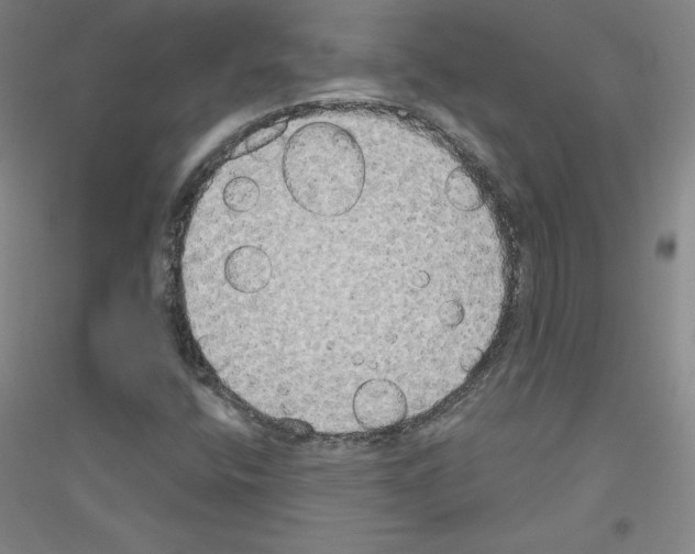 X0000116791400201001291509