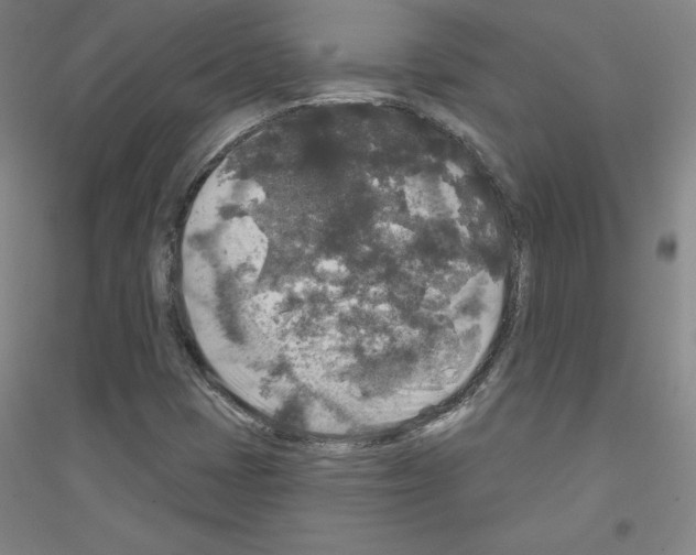 X0000116791401201001291509