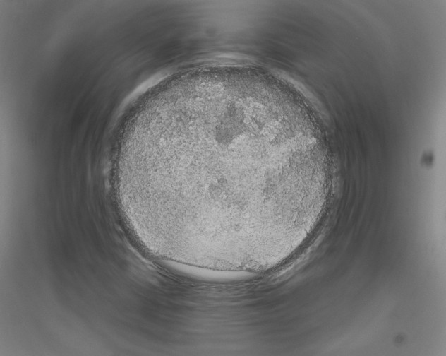 X0000116791402201001291509