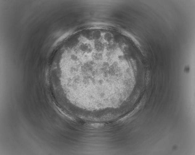 X0000116791403201001291509