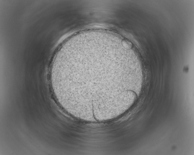 X0000116791404201001291509