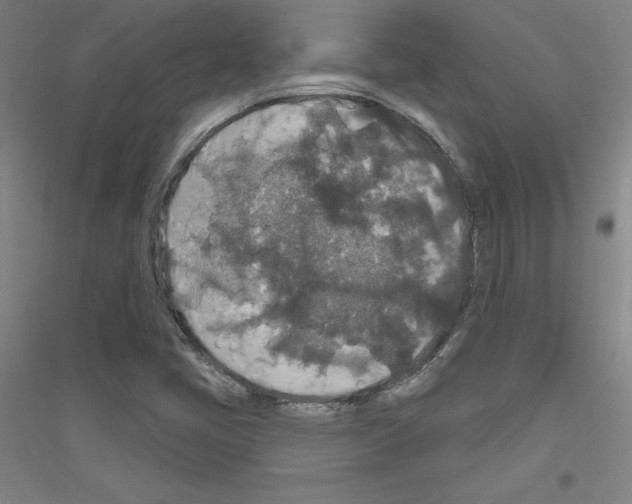X0000116791405201001291509